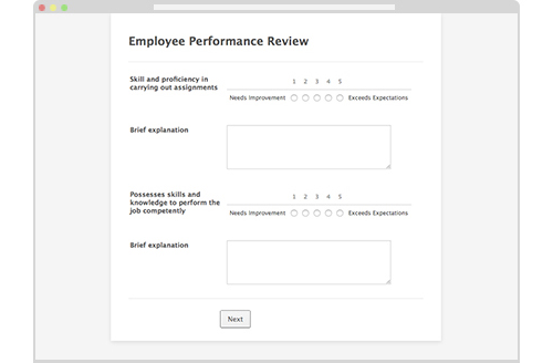 Form: End of Year Employee Performance Review Form