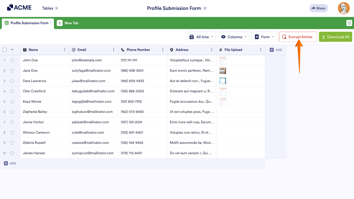 Encrypt Entries button in the form tables allowing users to re-encrypt form submissions for added data security