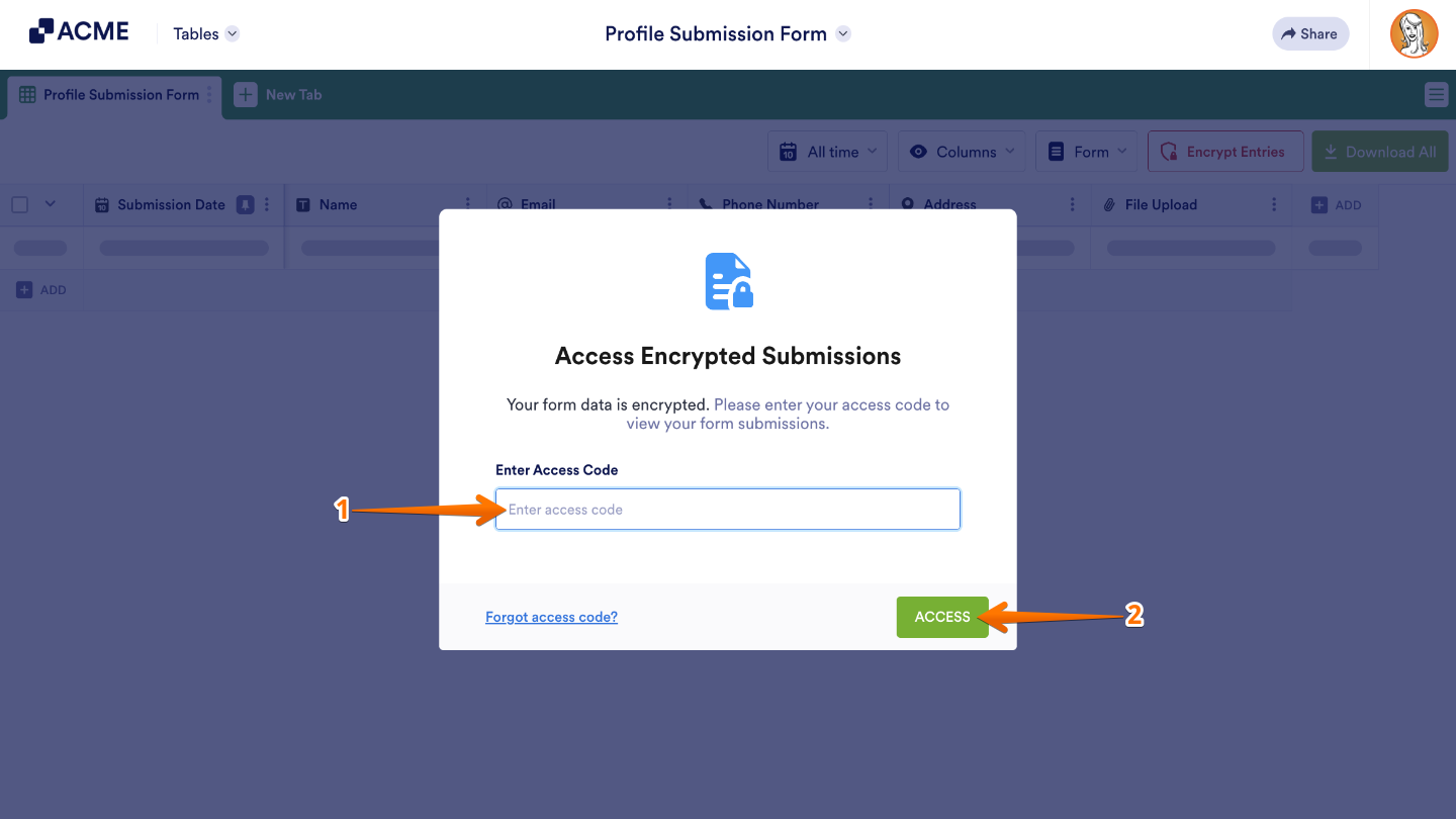 Access Encrypted Submissions window showing field for entering access code to view encrypted form responses
