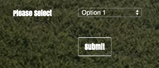 Jotform Form Edited Form Fields to Display Background Image Better