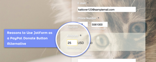 Paypal Donate Button Generator - Simple Tool to Donate Payment Button