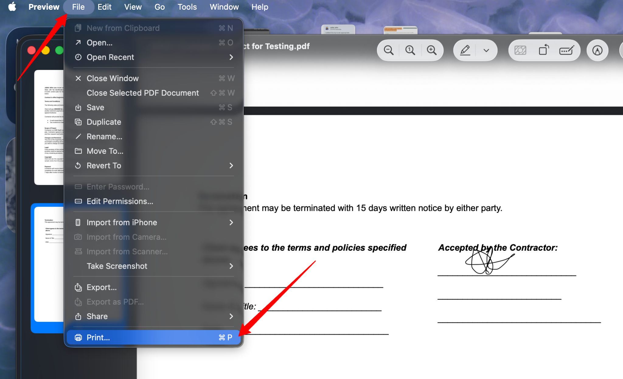 Print option selected from the File menu in Preview