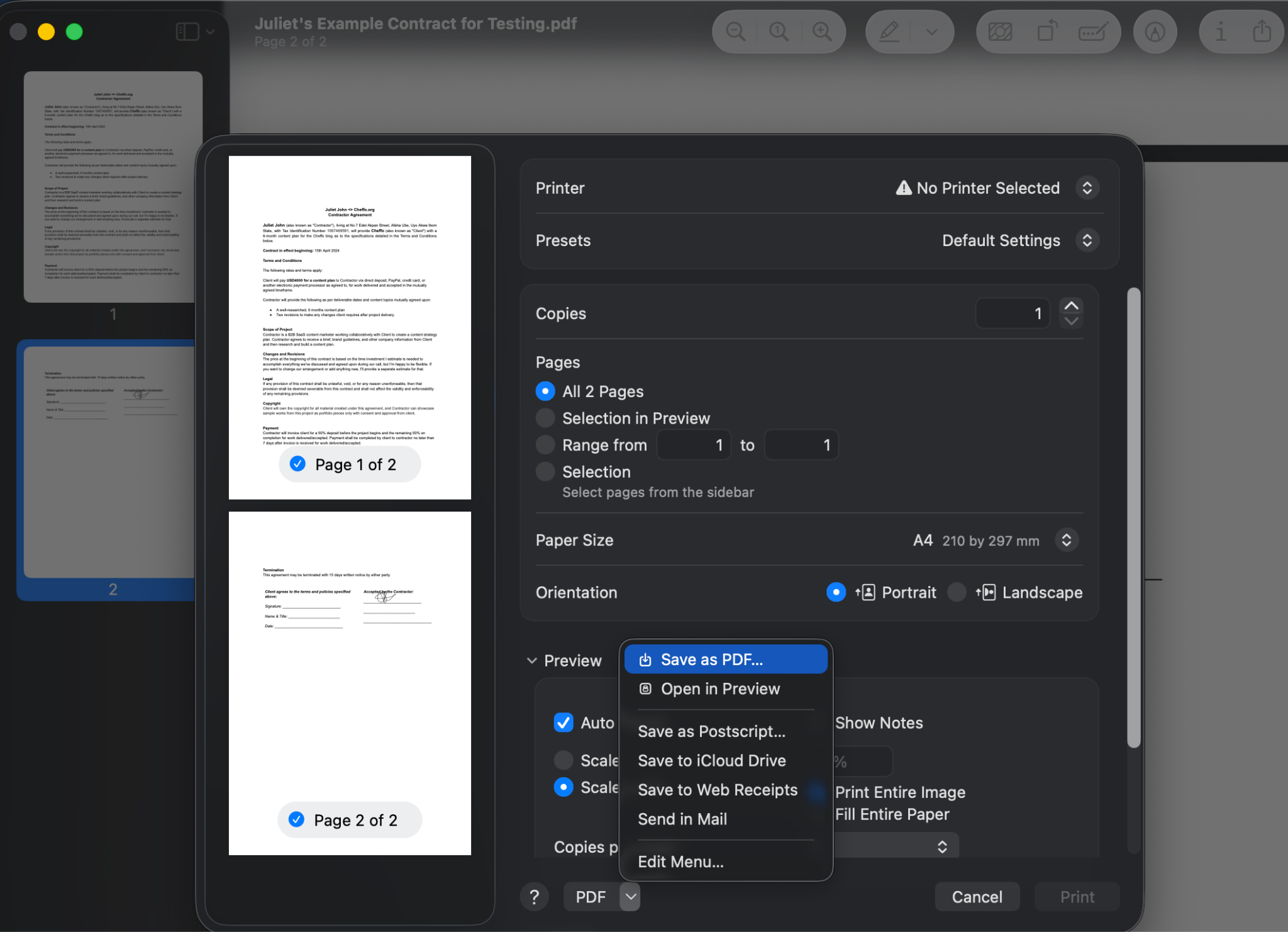 Save as PDF option selected in the Preview print window