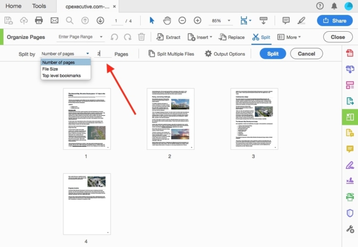 Article - How to split PDF files in A