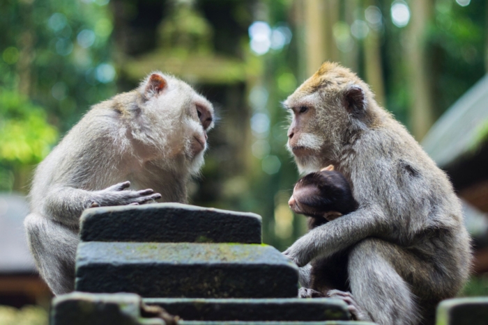 How to be a better listener in a world where everyone's talking