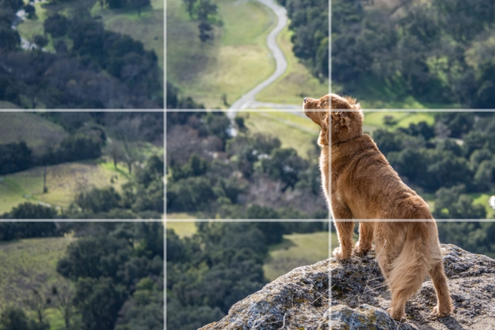 Mastering the rule of thirds in photography