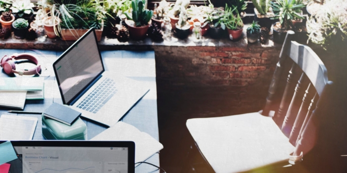 Best office plants that produce the most oxygen