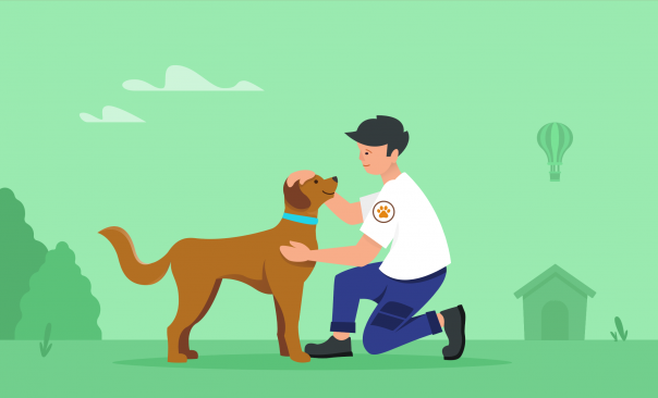 How to Start an Animal Rescue
