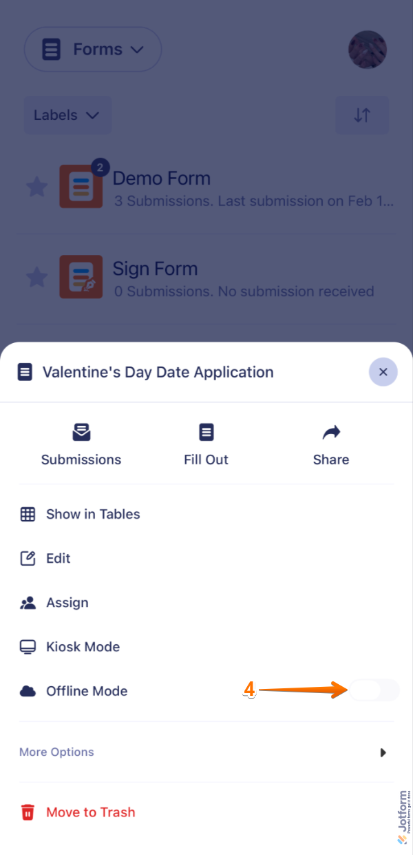 Mobile App form settings showing the Offline Mode toggle being turned on