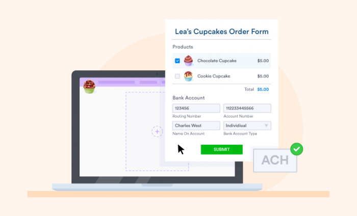 How to accept ACH payments on your website