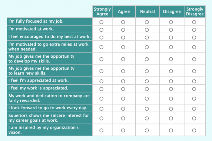 Likert scale questionnaire sample job satisfaction