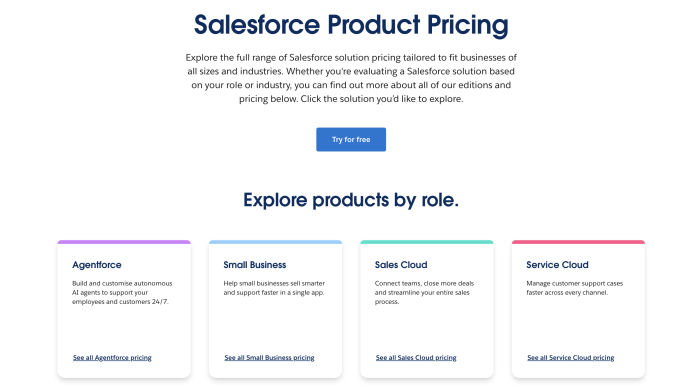 Salesforce Product Pricing Page