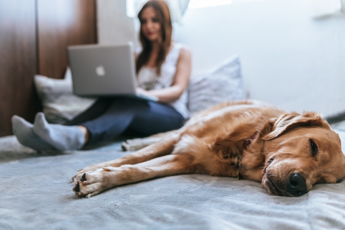 How to Stop Staring at Yourself and Have More Engaging Virtual Meetings