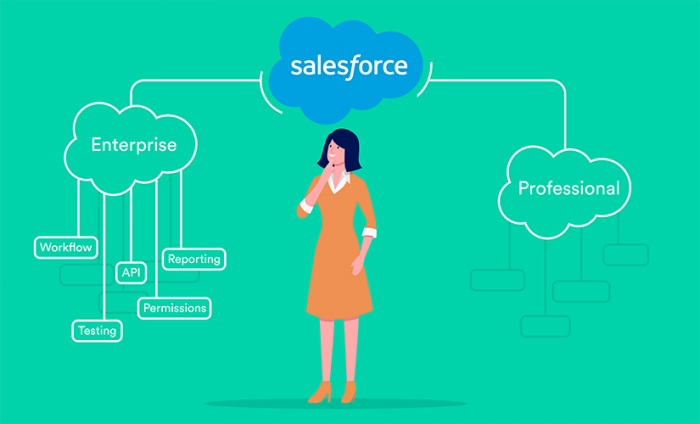Salesforce Professional vs Enterprise