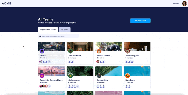Announcing Jotform Teams