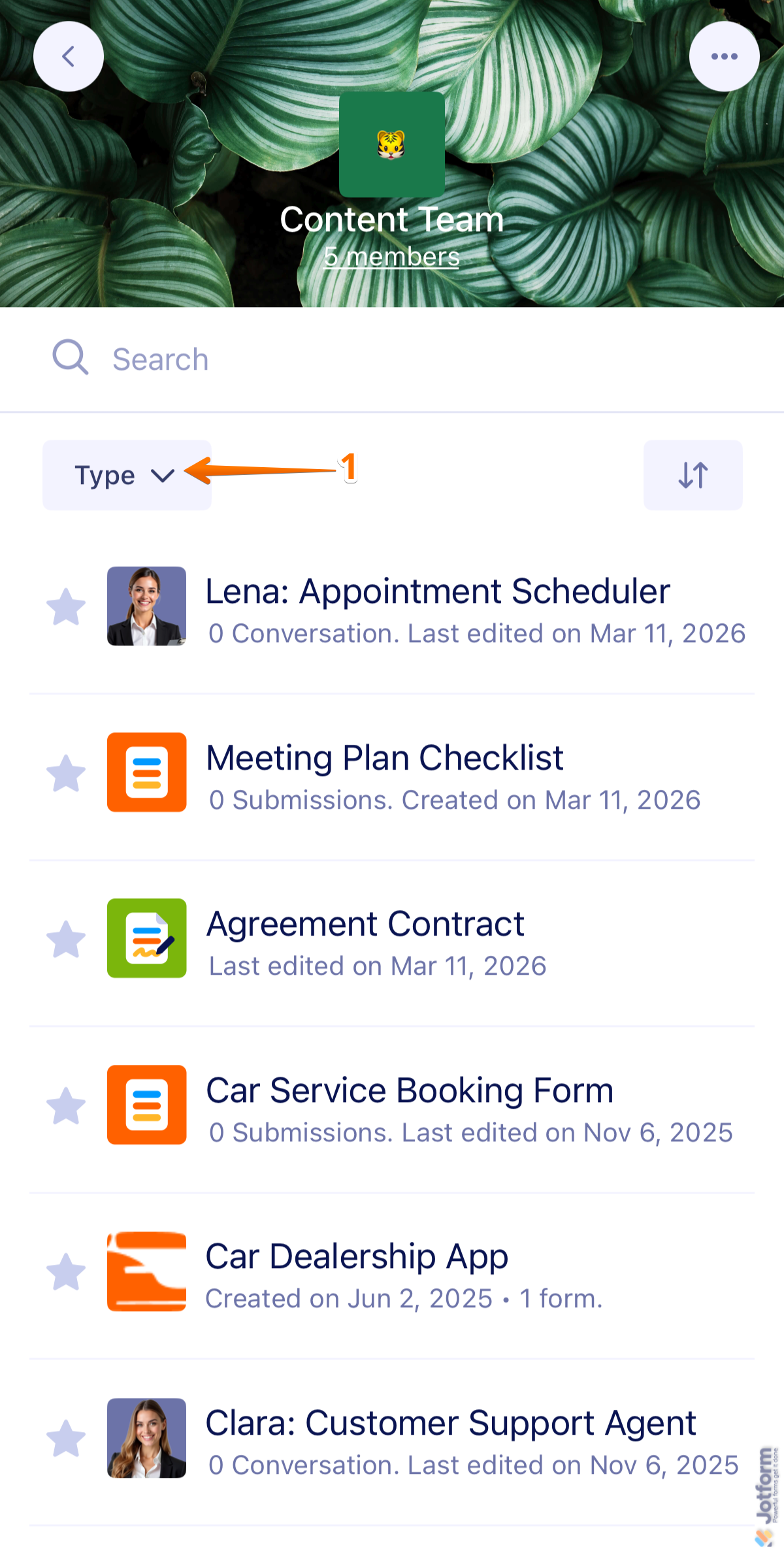 Jotform Mobile App Team Workspace interface showing Type tab on the left side of the screen