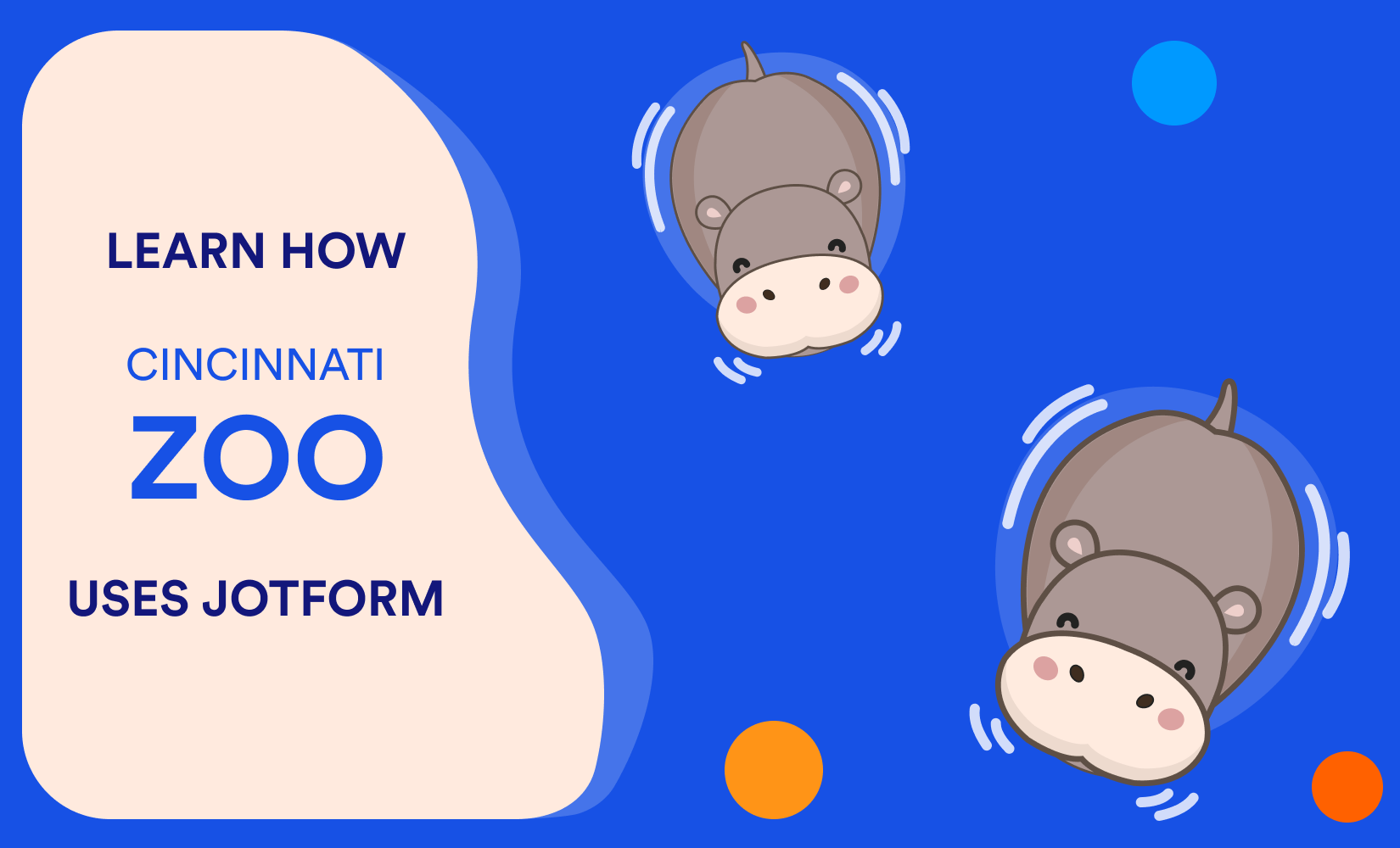 How the Cincinnati Zoo named its new hippo using Jotform