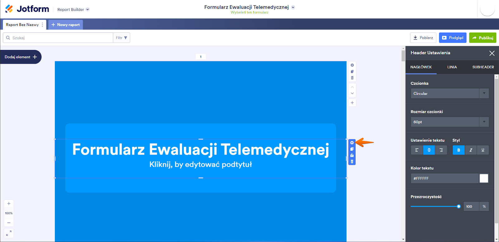 Z łatwością dostosuj wygląd i format raportu Image-4