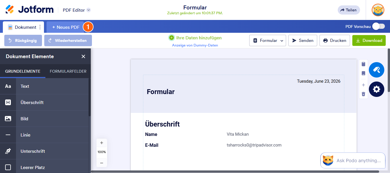 Formularübermittlungsdaten in ein PDF-Dokument übertragen Image-7