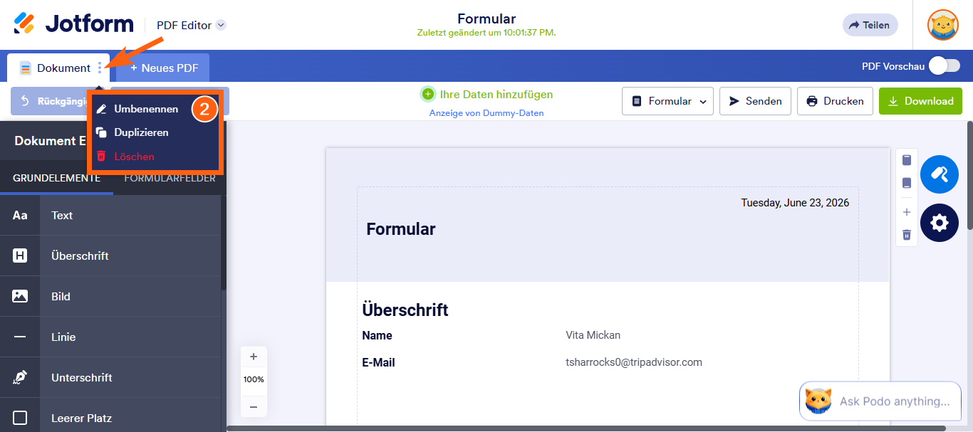Formularübermittlungsdaten in ein PDF-Dokument übertragen Image-9