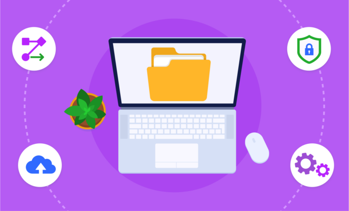 Document Management Guide