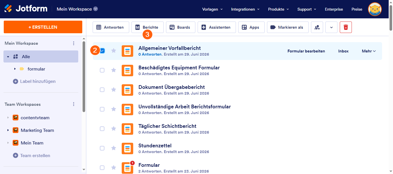 Wie Sie einen visuellen Report für Ihren Formularübermittlungen erstellen Image-2