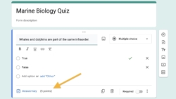 How to make an answer key in Google Forms | The Jotform Blog
