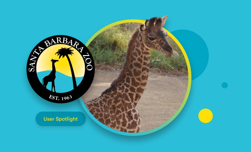 How the Santa Barbara Zoo named its new baby giraffe with Jotform