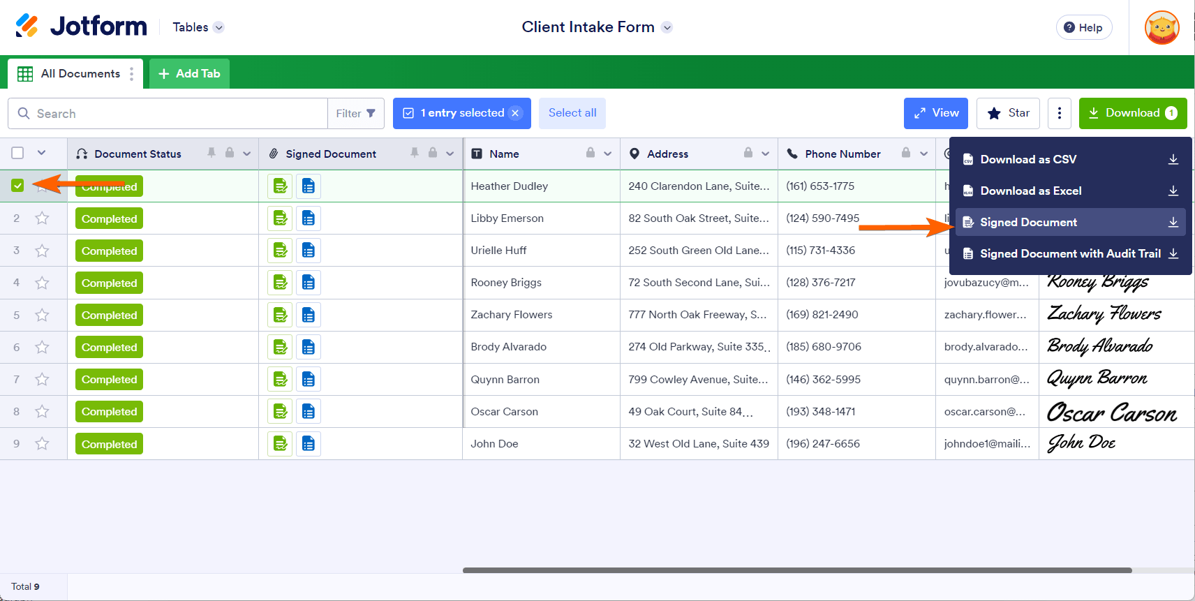 Download button showing the Signed Document and Signed Document with Audit Trail options Screenshot 21