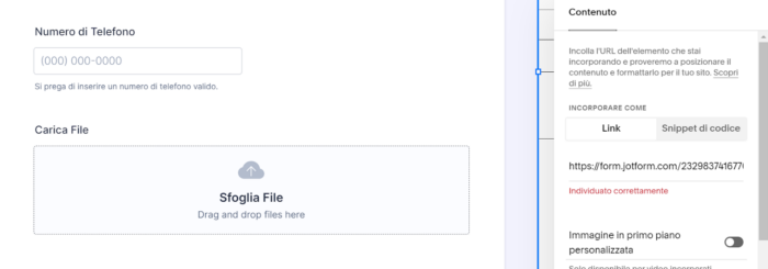 Incollare il link di incorporamento in un modulo