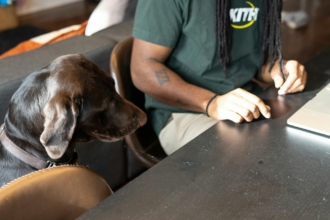 How vet telehealth works for veterinarians (from a veterinarian)