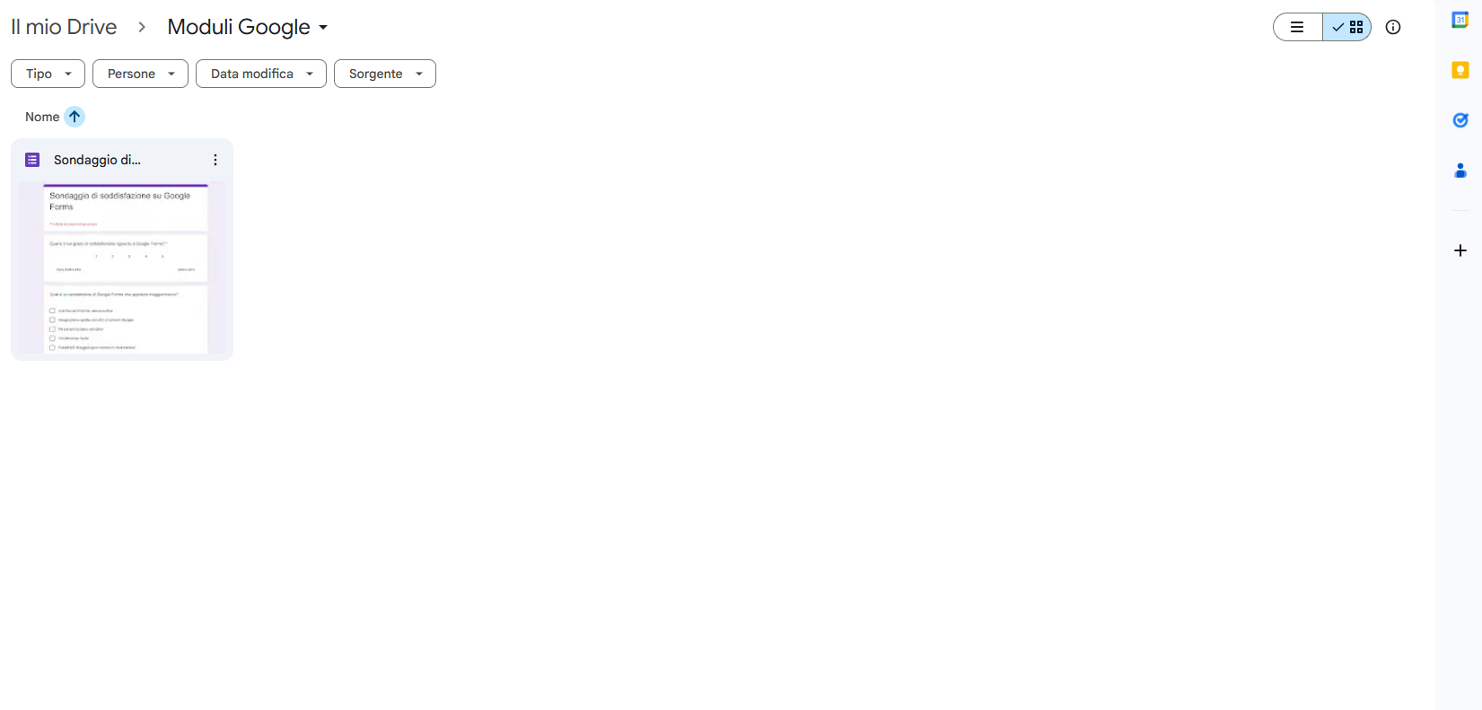 Schermata di una cartella Google Drive che mostra il modulo da analizzare