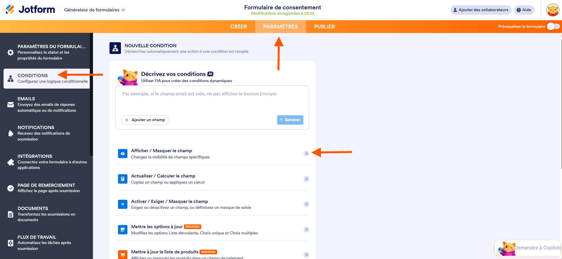 Capture d'écran de la page de l'onglet Paramètres avec une flèche vers Conditions dans le volet de gauche et une autre vers Afficher / Masquer le champ