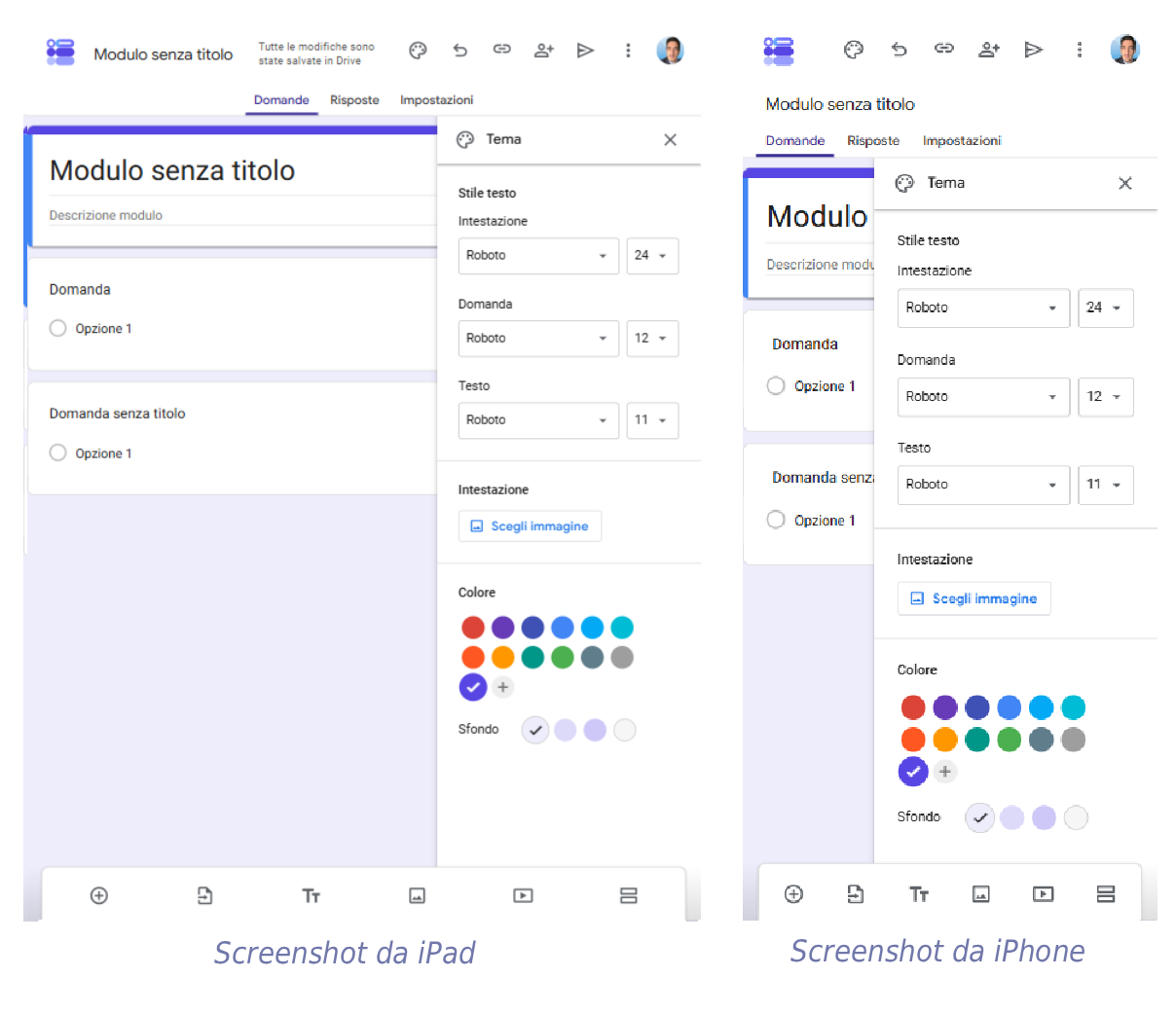 Moduli Google con mostrato la sezione per la personalizzazione del tema