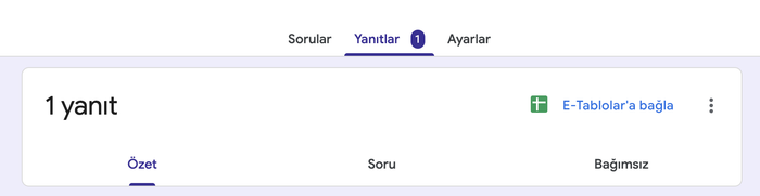 Google Forms Yanıtlar Sekmesi Özet Sekmesi