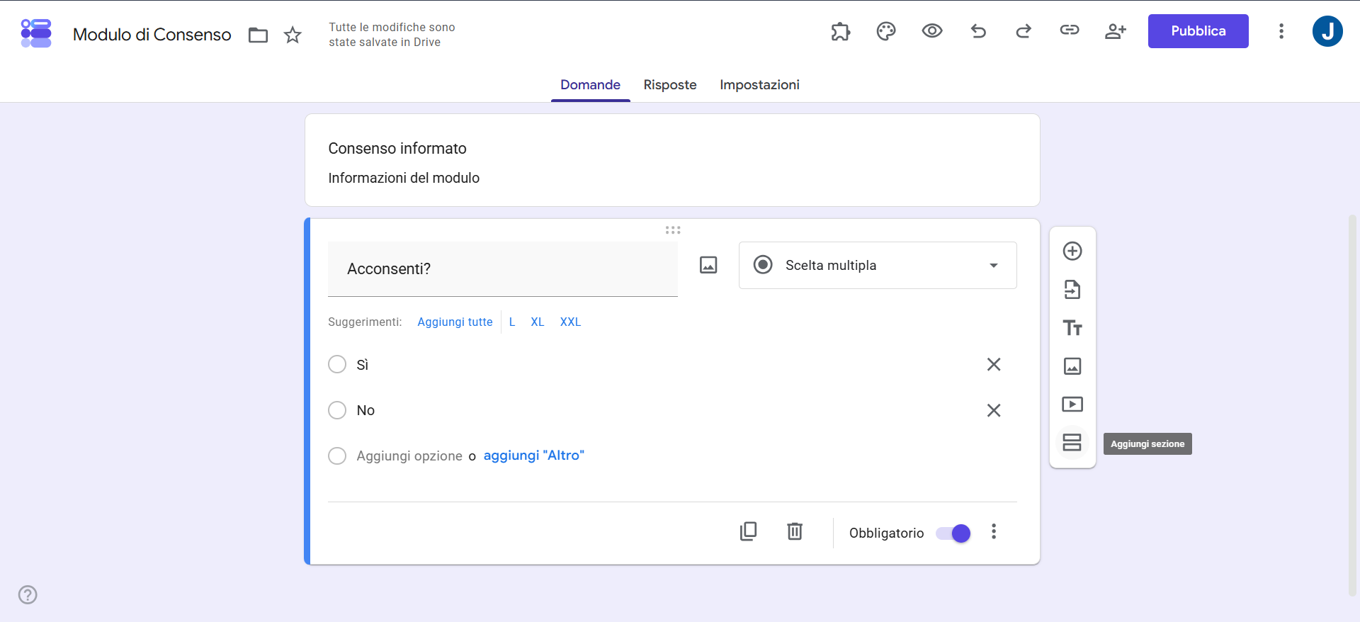 Screenshot della barra laterale delle domande del modulo Google con 'Aggiungi sezione' evidenziato, insieme a una domanda e alla sezione della casella di testo