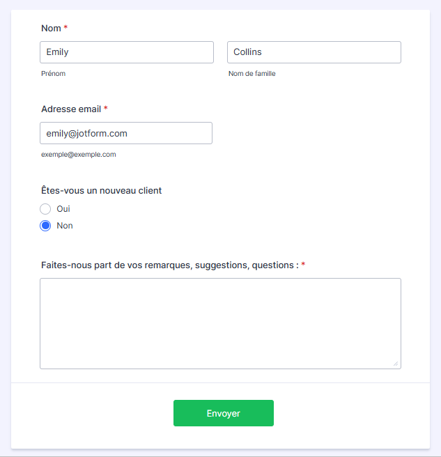Capture d'écran du formulaire avec une section Nom, une section Adresse email, une section Êtes-vous un nouveau client