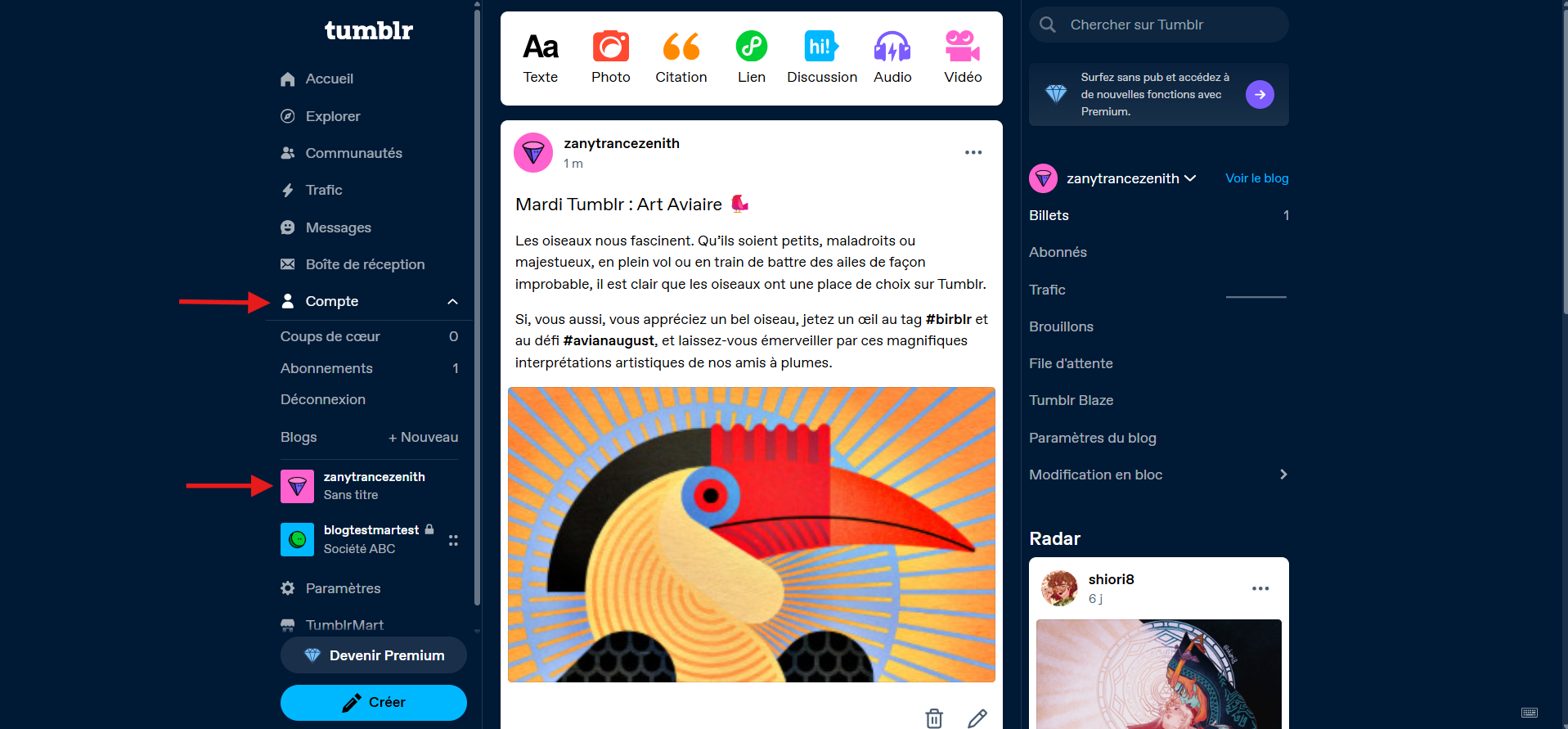 Capture d'écran d'un blog dans Tumblr avec une flèche vers Compte et une autre vers le nom du blog
