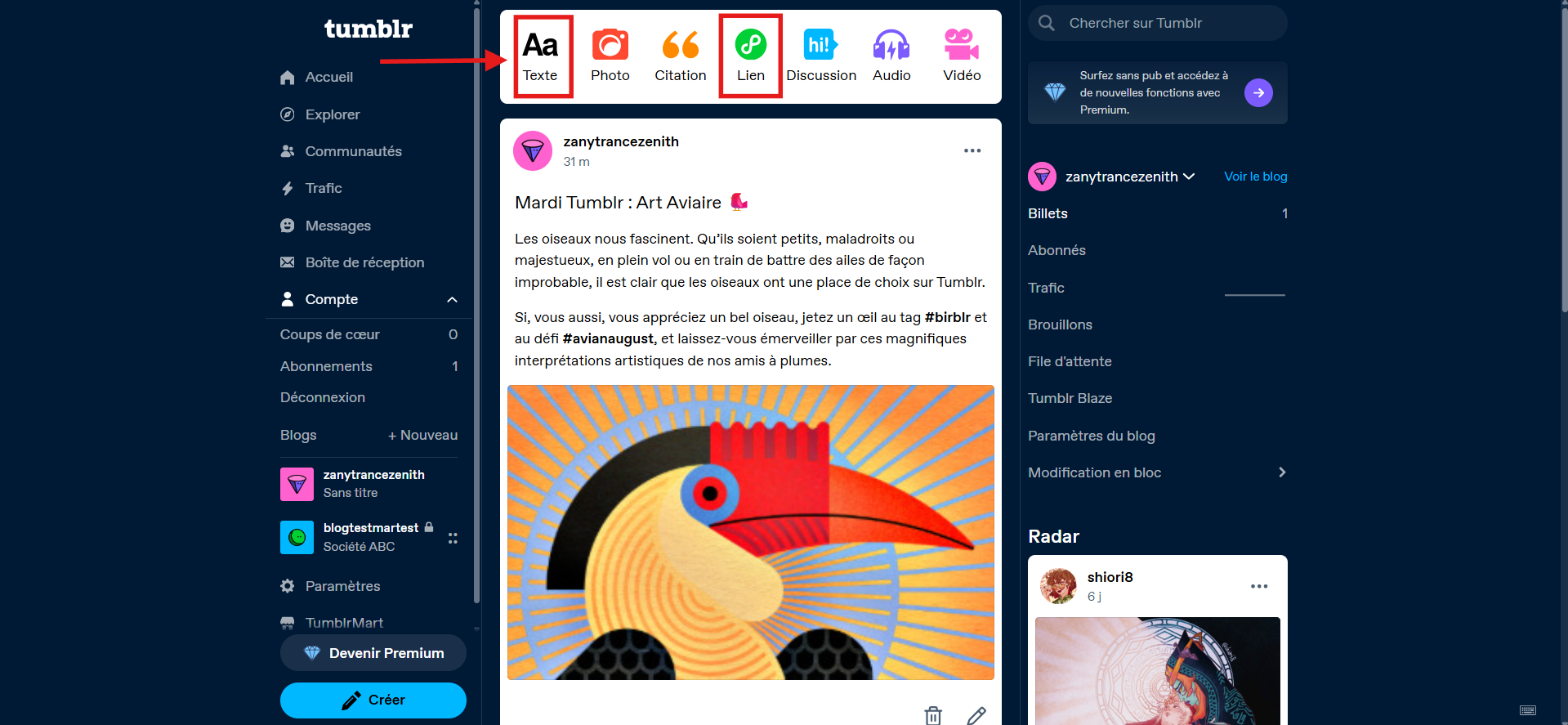 Capture d'écran des options de publication dans le tableau de bord Tumblr avec une flèche vers Texte