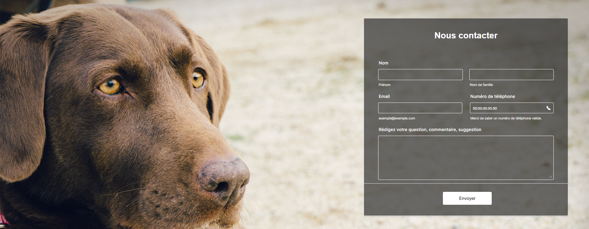 Capture d'écran du même formulaire avec le thème pour les amoureux des animaux
