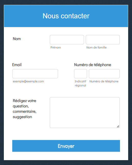 Capture d'écran avec le même formulaire avec le thème Grand Bleu