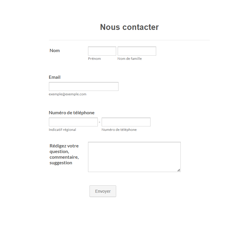 Capture du même formulaire avec le thème Grand
