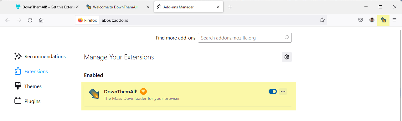 Capture d'écran de l'extension DownThemAll! qui figure parmi les extensions du navigateur 
