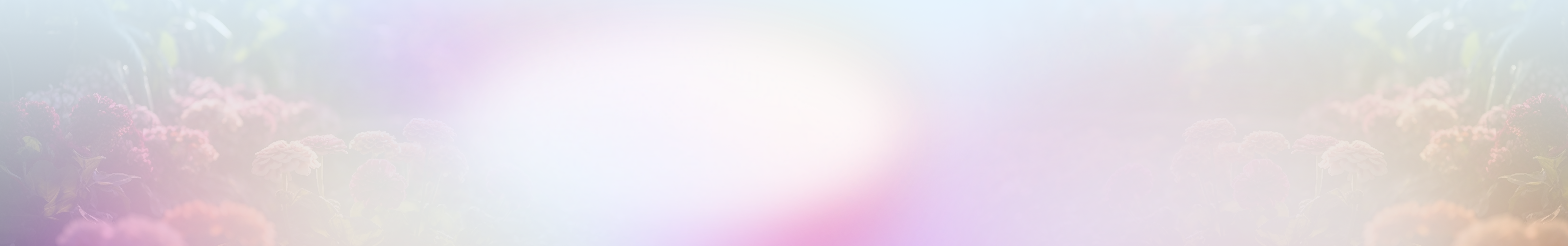 Header Background - Announcing Jotform’s Instagram Agent