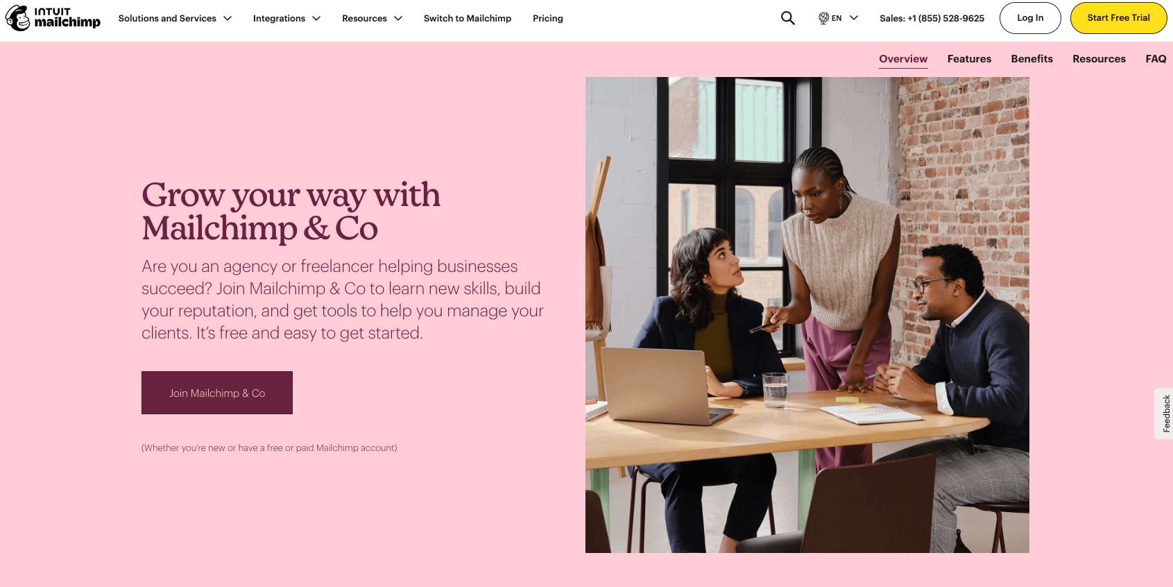 screenshot of Mailchimp and Co agency partner program grow your way with mailchimp and co