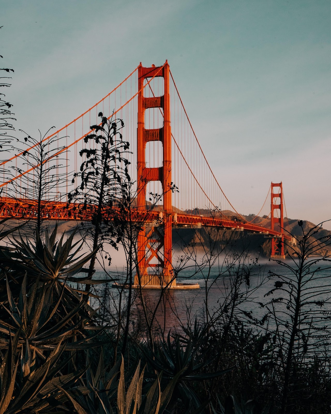Golden gate bridge, Bridge, Nature image