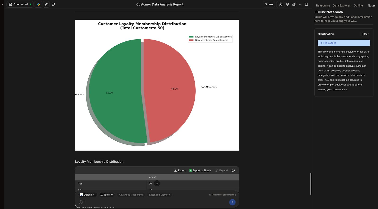 Julius AI Customer Analysis Report