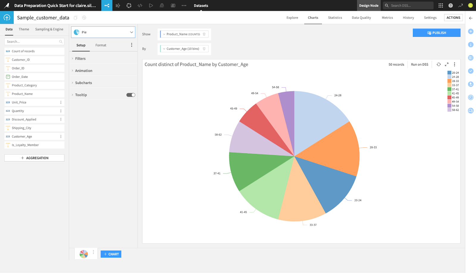 Dataiku Customer Data Pie Chart View