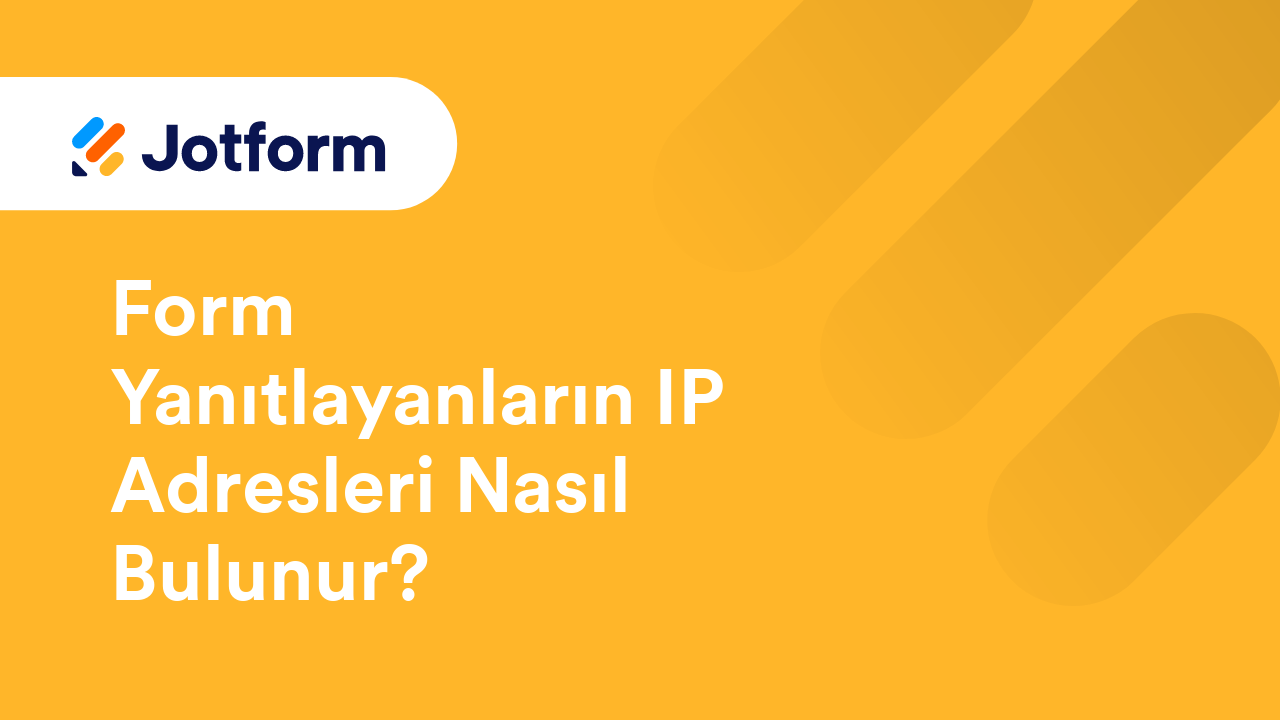 Formları Yönetme