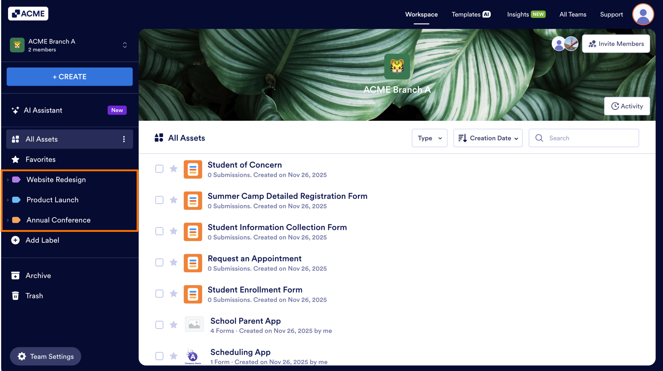 How to Organize Assets in Team Workspace Image-1